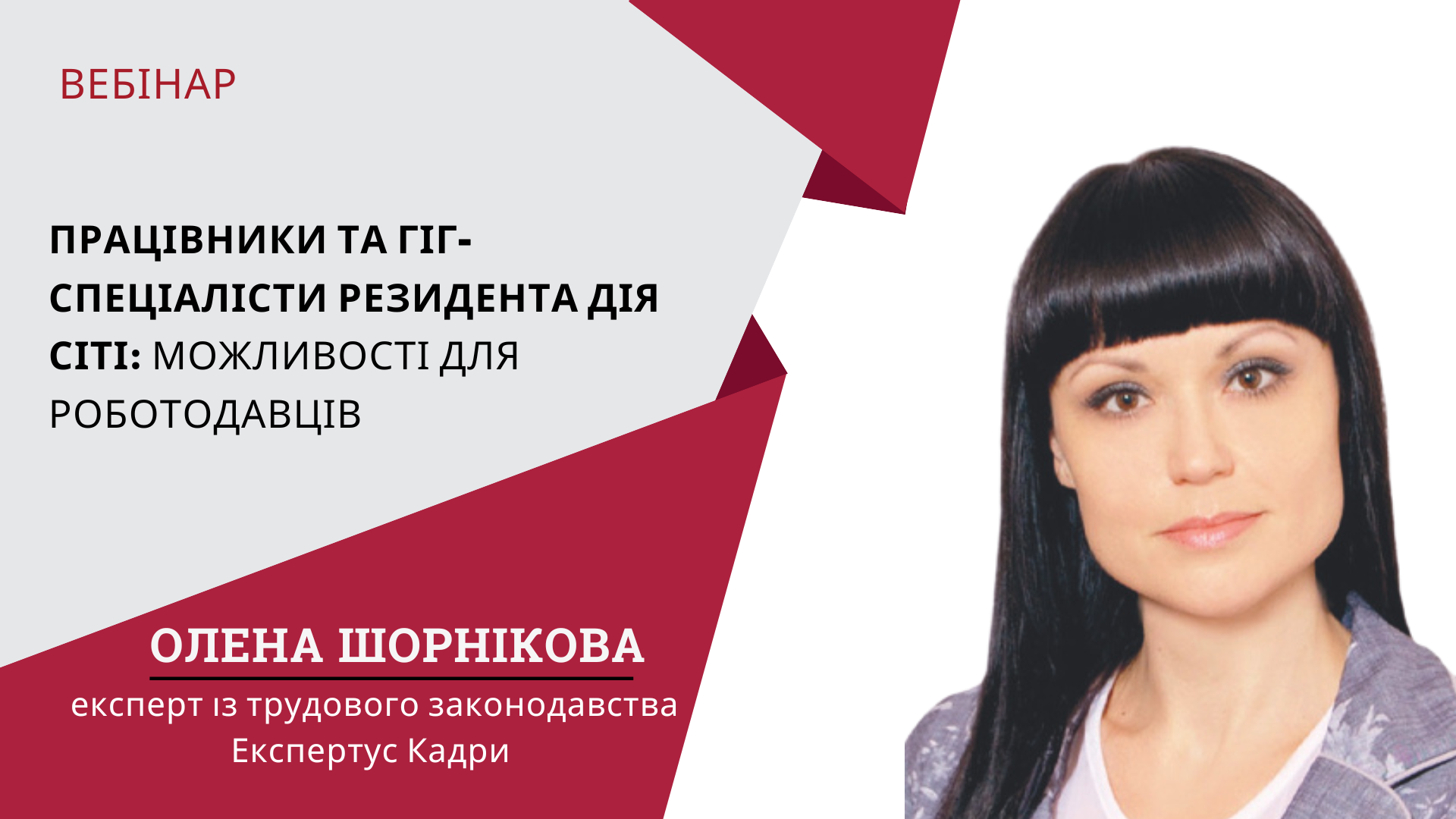 Працівники та гіг-спеціалісти резидента Дія Сіті: можливості для роботодавців